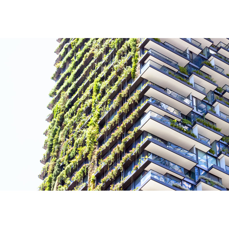 Garden on Residental Building by Imamember - Wrapped Canvas Rectangle Print, 51cm H x 76cm W
