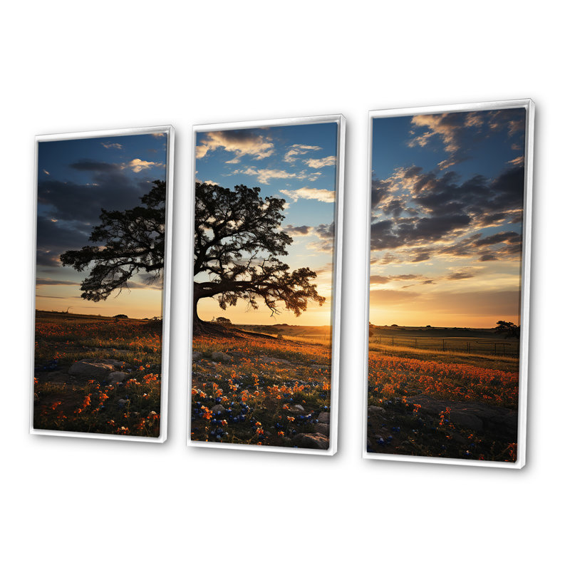 «Orange Bonnets Field With Sunset - Blue Bonnets», ensemble d'art sur toile, Cadre flottant blanc, H 32 po x l 48 po x P 1 po