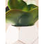 24cm Faux Succulent Plant in Concrete Pot