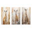 Minimal charmant kangourou - ensemble de 3 impressions sur toile kangourou-1903607822-1903607820