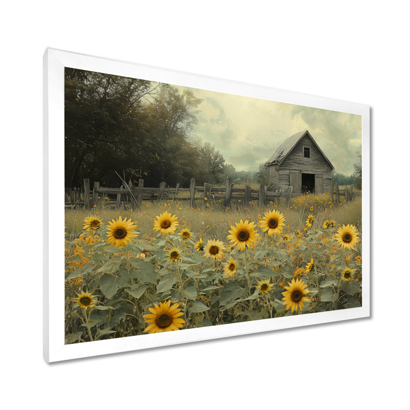 Crantor Sunflowers by The Tools Shed - art mural toile tournesols, Reproduction encadrée d'une seule photo, H 34 po x l 44 po