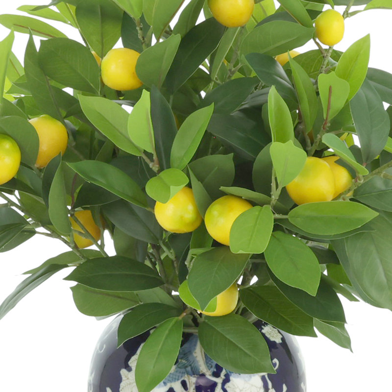 Lemon Leaf Arranged in a Decorative Ceramic Vase