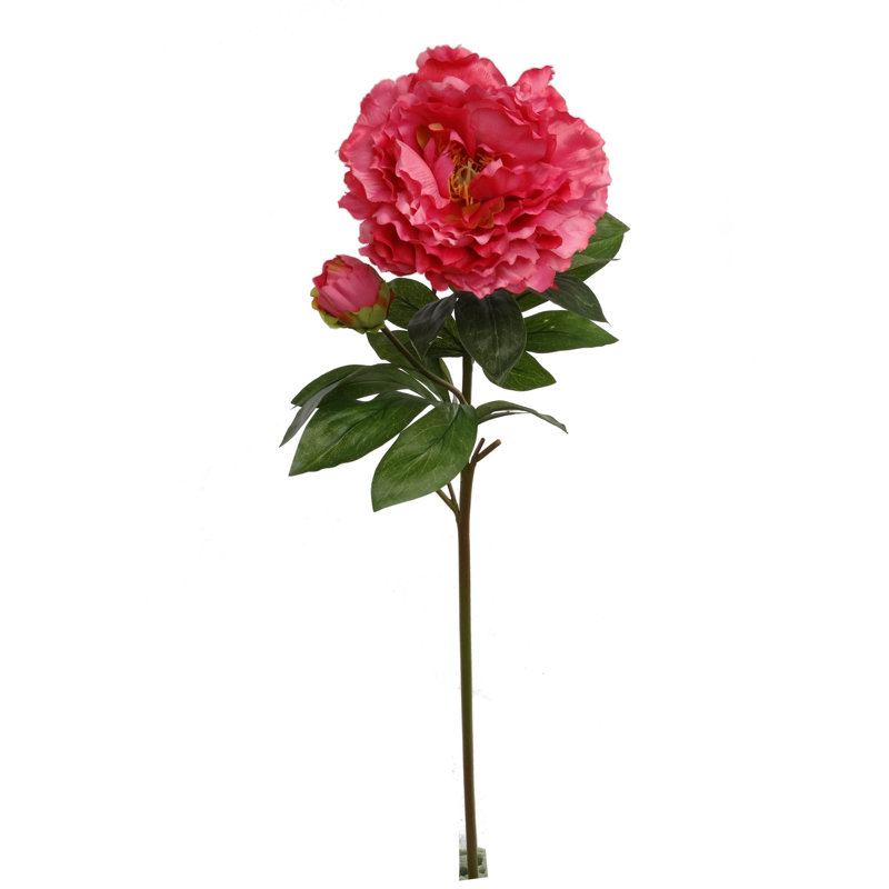 Tige de pivoine, Fuchsia, 3