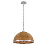 Carayes 3 - Light Unique / Statement Dome Pendant