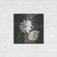 «Gilded Sunflowers» par Chris Paschke-485754841