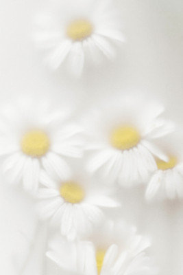 Wrapped Canvas Print, 91.44 cm H x 60.96 cm W