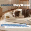Silentnight Orthopaedic Luxury Pet Bed-383887914-309262713
