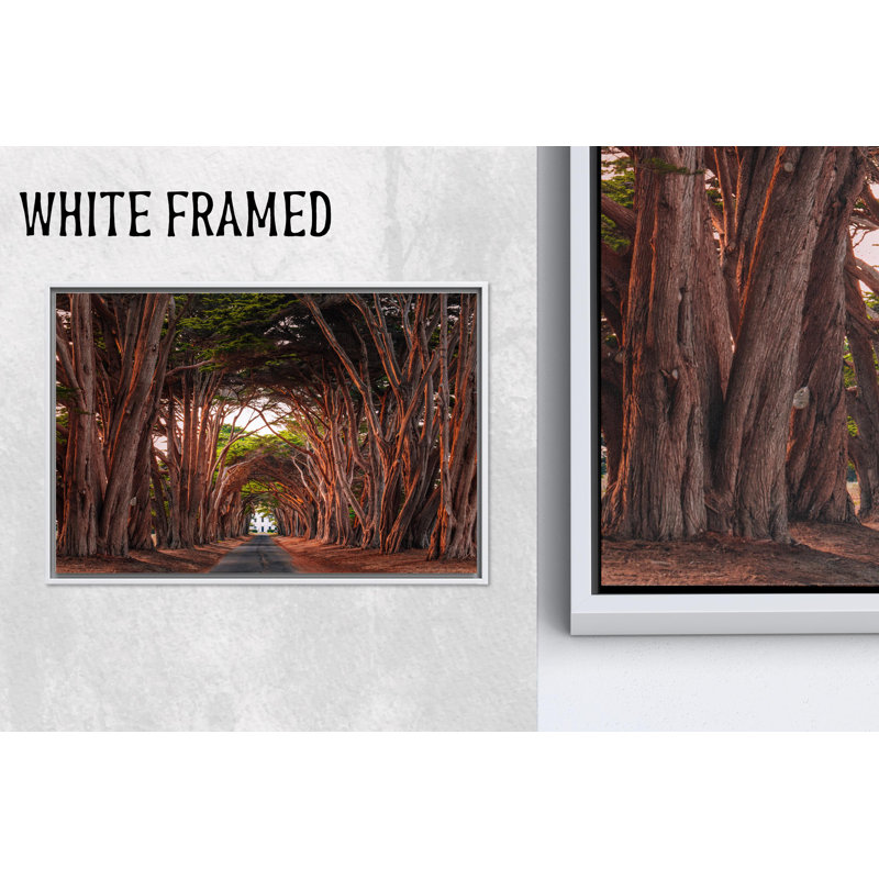 Impression sur toile Elegant Cypress Tree Tunnel: Modern Landscape Art, 1P WhiteFramedCanves, 63,1 po H x 102,4 po l