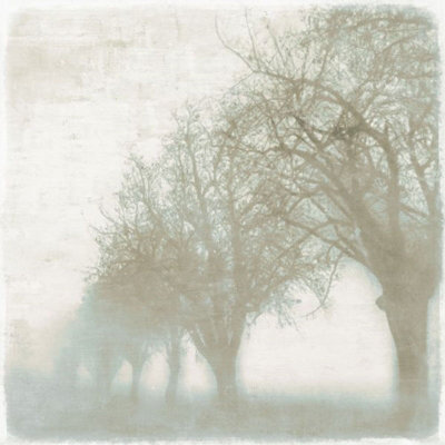 Mystic Morning III Print by Mari Urasawa