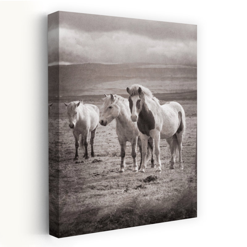 Wild Run Serene Tranquil Abstract Horse Nature Landscape Art, H 24 po x l 16 po