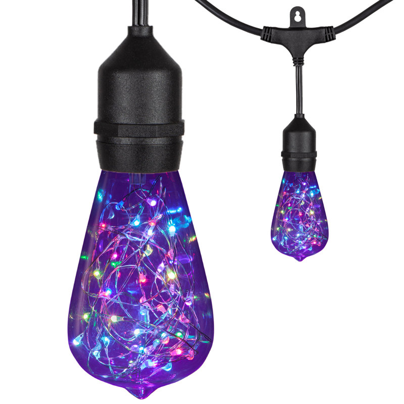 Kallie Outdoor 10 - Bulb 30'' Plug-in String Light, Clear/Purple
