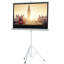 Symple Stuff Portable Projector Screen Projector Screen-1686519533