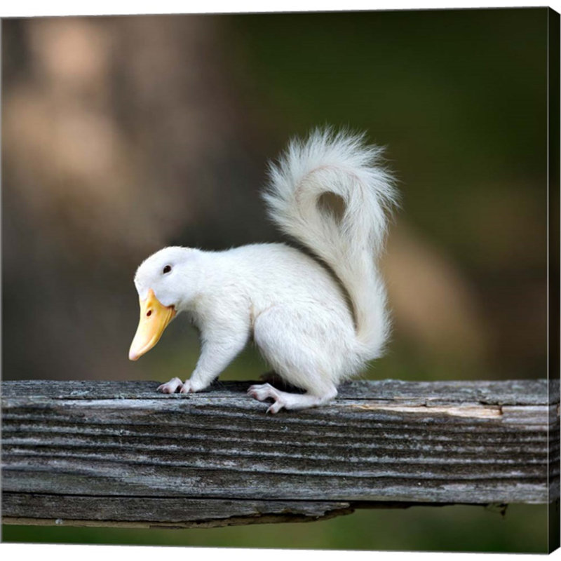 " Duckbilled Squirrel " by Pixelmated Animals
