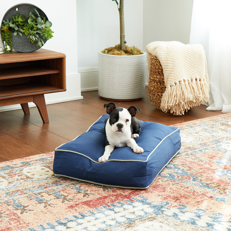 Lit pour chien intérieur / extérieur Jann, Très petit (l 24 po x P 18 po x H 5 po), Bleu marine
