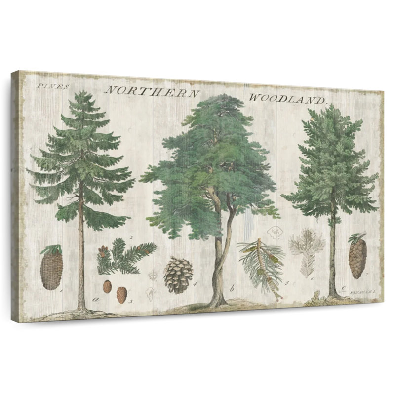 Carte Harnek Woodland I, H 26 po x l 39 po
