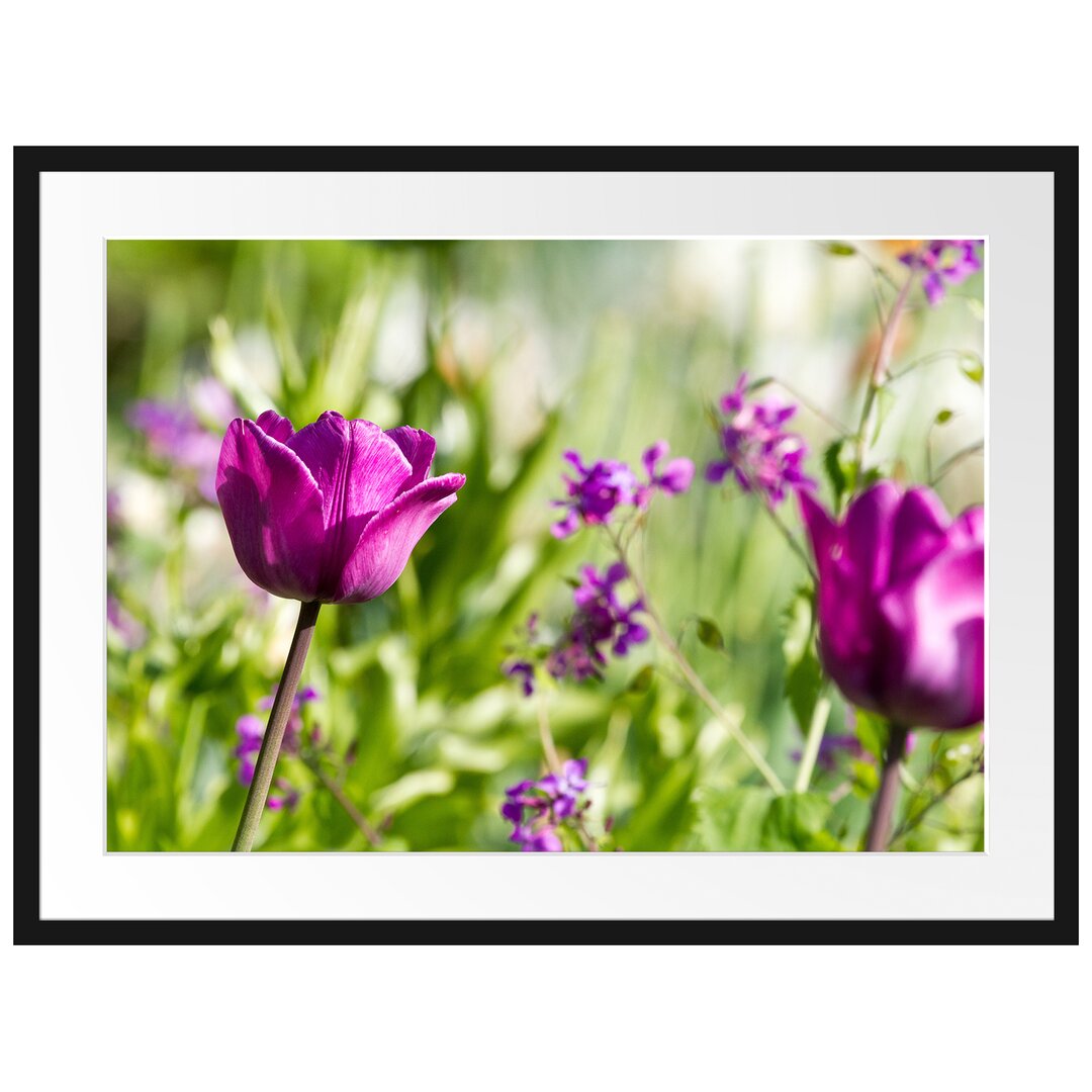 Gerahmtes Poster Blumen im Sonnenschein