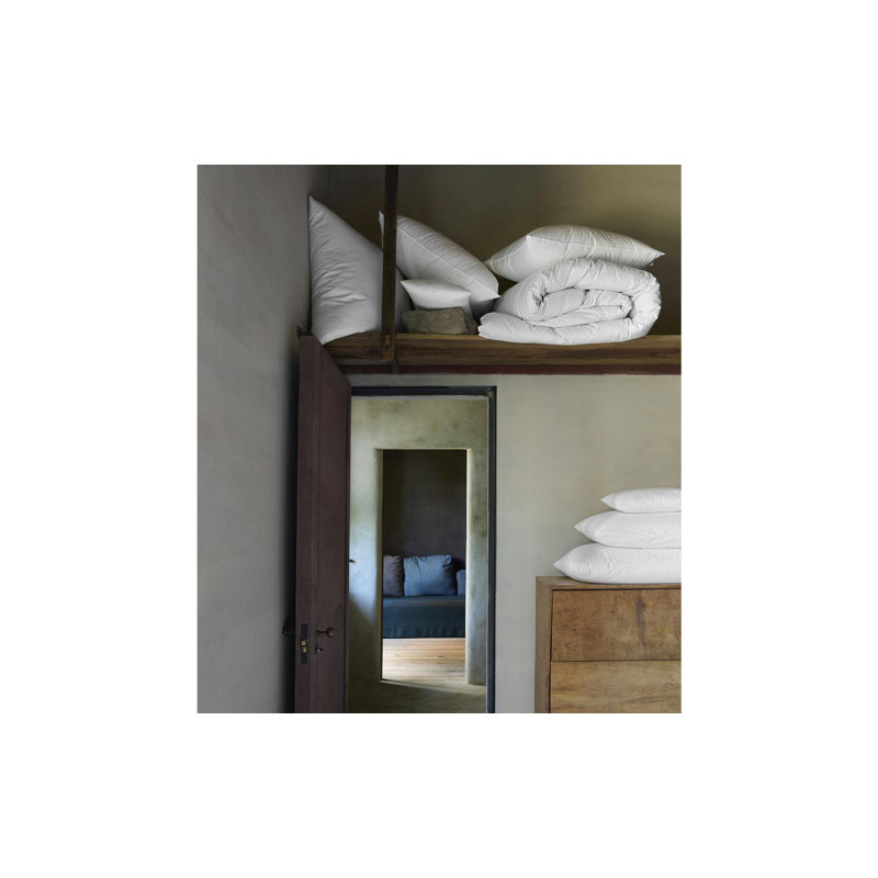 Valletto Goose Down Comforter, King