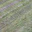 Tapis olive intérieur / extérieur lavable à la machine Xhevrie-112171050