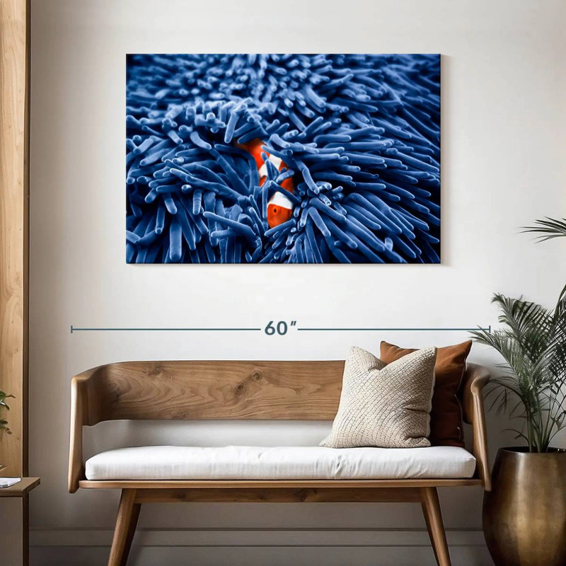 Aletra, poisson-clown parmi les anémones, H 30 po x l 45 po