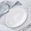 Serendipity Platinum - Oval Platter
