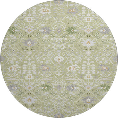 Premium Machine Washable Colmenero AMF1009 Oriental Rug
