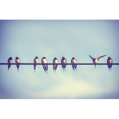 Birds 1 Piece Wrapped Canvas Wall Art