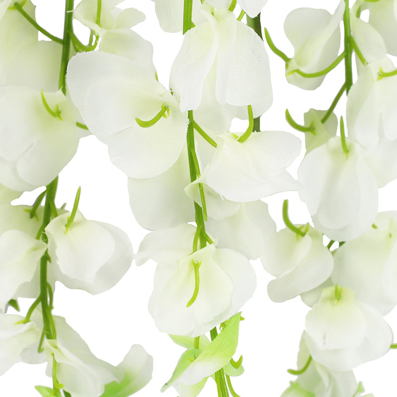 Buisson de glycine suspendu, Blanc crème