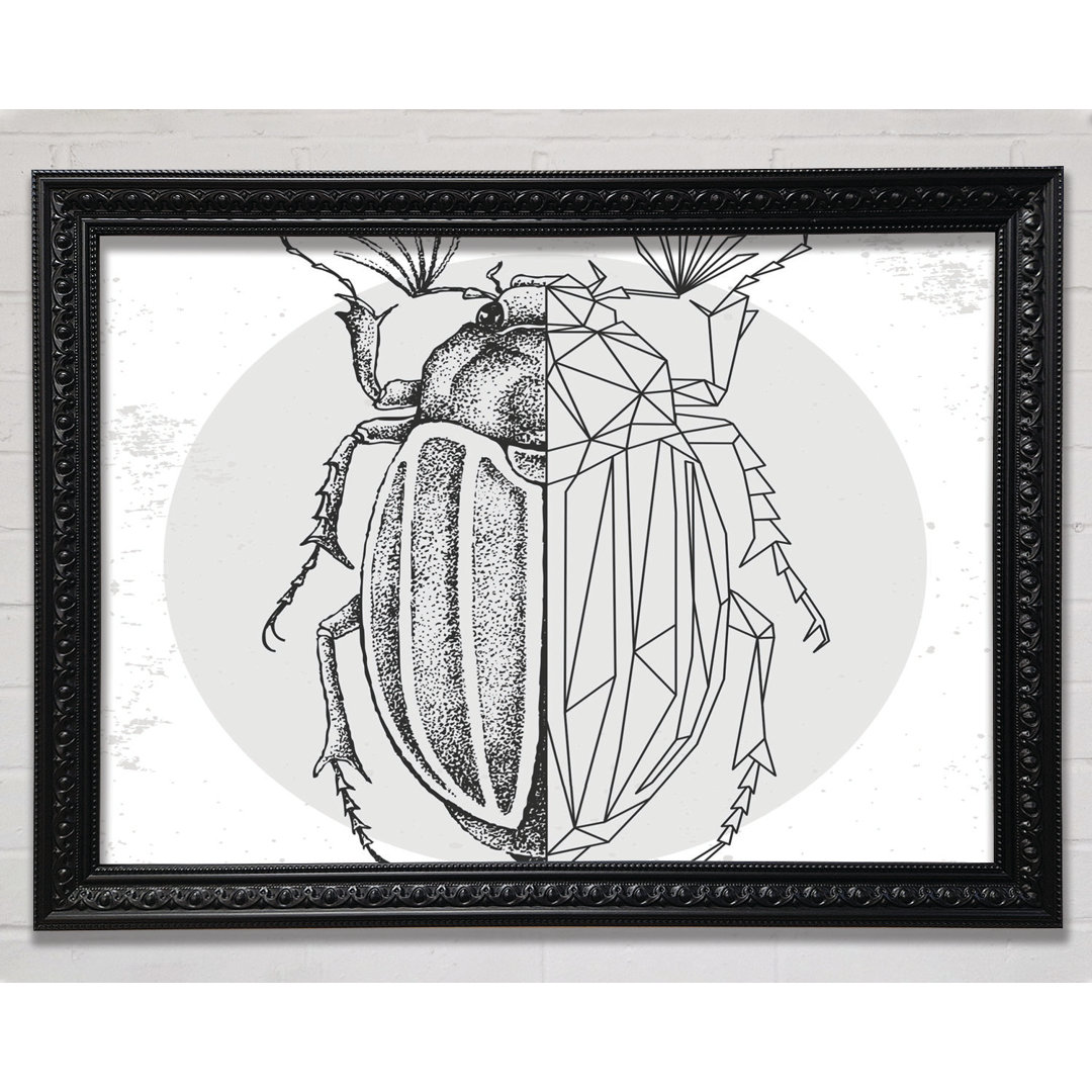 Leinwandbild The Beetle Sketch