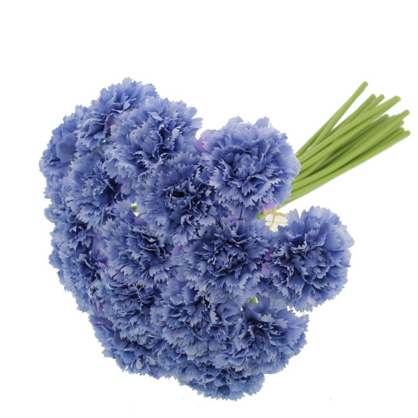 Carnation Arrangement, Blue