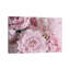 1 Piece Wall Art on Canvas-1184126156-1192219115