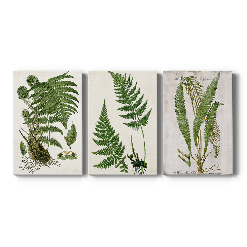 Fern I - toile tendue sur mesure - 3 pièces, H 12 po x l 24 po