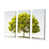 Toile tendue