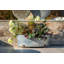 Keltner Metal Pot Planter-541192585