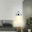 Chardon 1 - Light Pendant