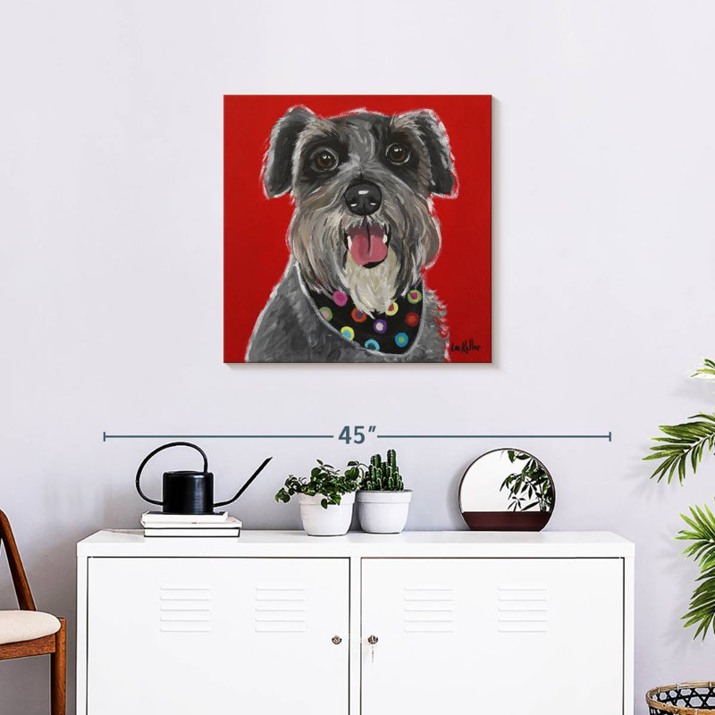Crown Schnauzer Bandana, H 24 po x l 24 po