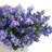 Assorted Lilacs in Fiberstone Pot-284134618