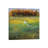 Meadow Flowers I by Christopher Vest - Wrapped Canvas Gallery-Wrapped Canvas Giclée-667860406