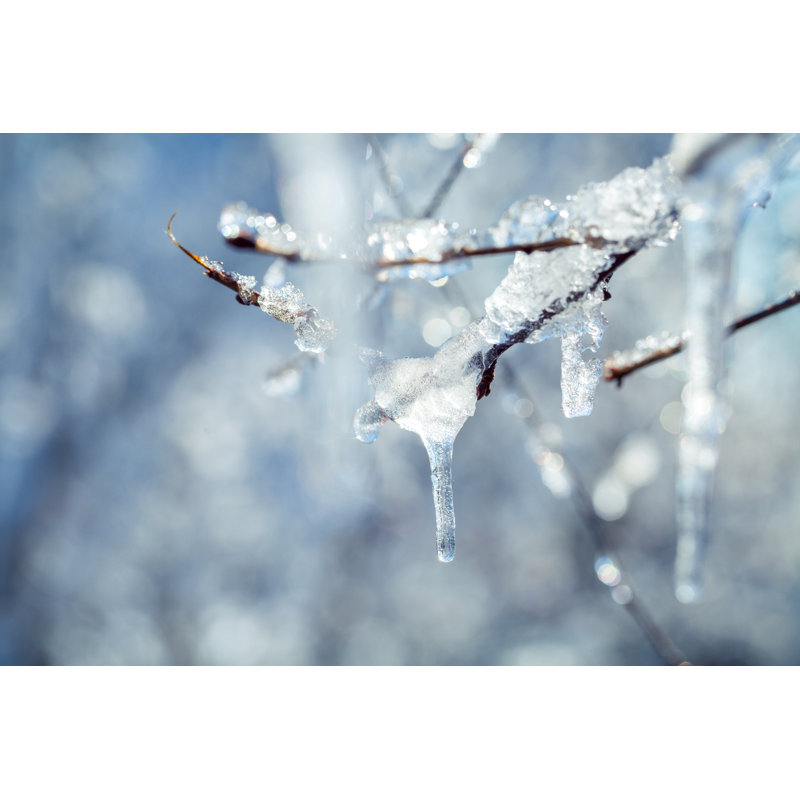 Icicles On Branches Of A Tree by Pretti - Wrapped Canvas Print, 81cm H x 122cm W