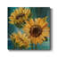 Tournesol I - reproduction d'art sur toile tendue-277646614