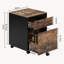 McLoughney 40cm Wide Mobile File Cabinet-1977713302