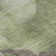 Premium Machine Washable Maag AMF1786 Swirls Rug