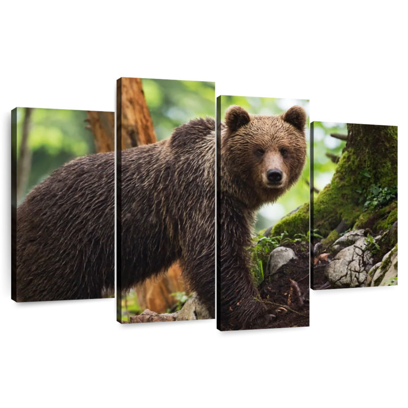Ours grizzly humide Brampt, H 22 po x l 36 po