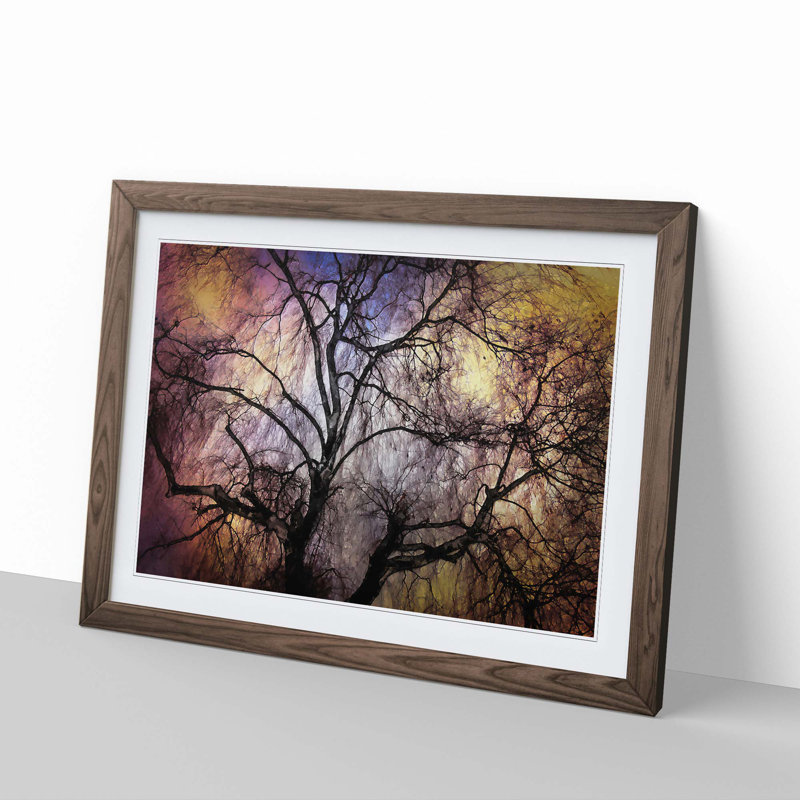 Weeping Willow Tree in Abstract - Picture Frame Graphic Art Print, Walnut, 40cm H x 60cm W x 2cm D