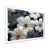 White Single Picture Framed