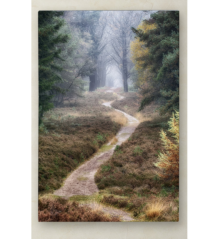 « escalader les traces », reproduction de photo sur toile tendue, H 19 po x l 12 po x P 2 po