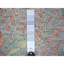 Tapis oriental gris en laine douce noué à la main 10 pi x 10 pi Peshawar A9D60B0F8FAB4BD488B4245F70FEB20F