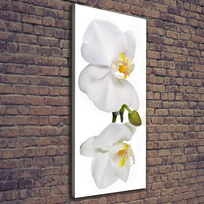 White Orchid - Wrapped Canvas Print, 125cm H x 50cm W