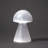 Cloche Or Water Globe