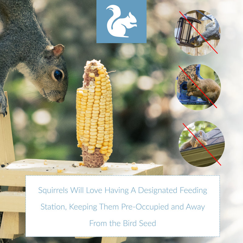 Light Brown Pine Wood Outdoor Squirrel Feeder Picnic Table