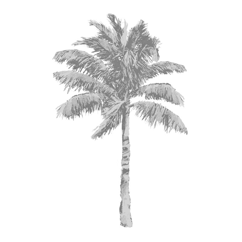 Canan Palm Gray I par Kristen Drew, H 16 po x l 12 po